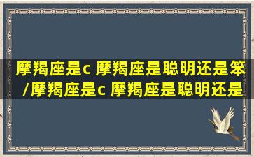 摩羯座是c 摩羯座是聪明还是笨/摩羯座是c 摩羯座是聪明还是笨-我的网站